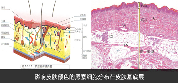 青少年白癜风怎样更好的治疗